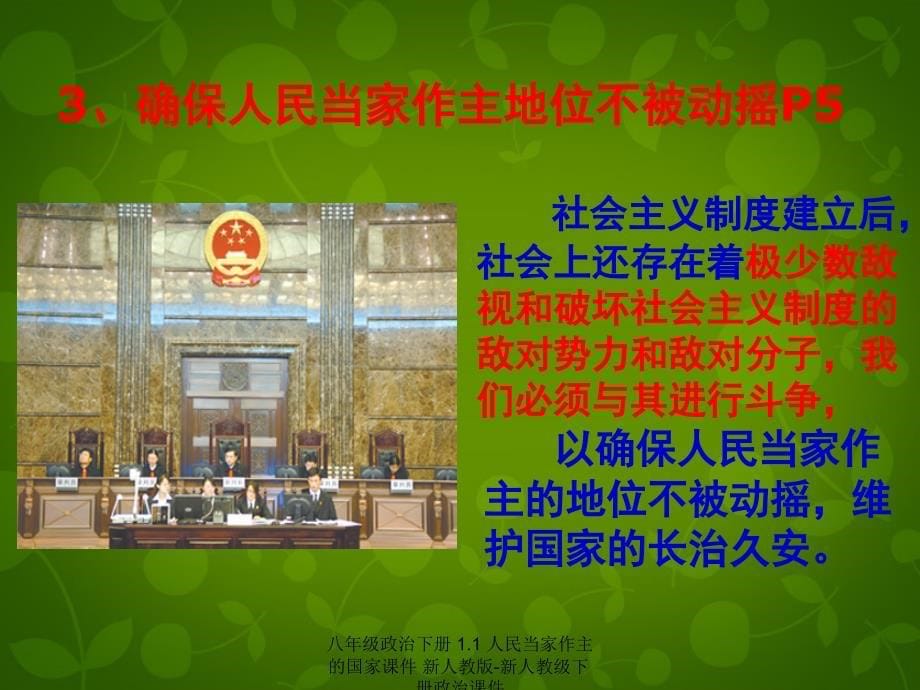 最新八年级政治下册1.1人民当家作主的国家课件新人教版新人教级下册政治课件_第5页