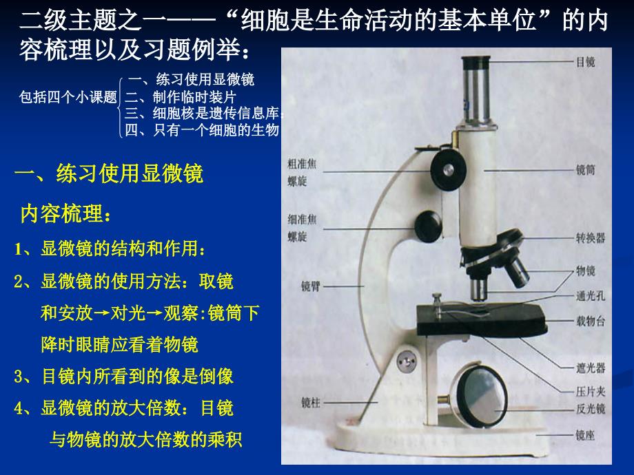 生物生物体的结构层次复习课件_第3页