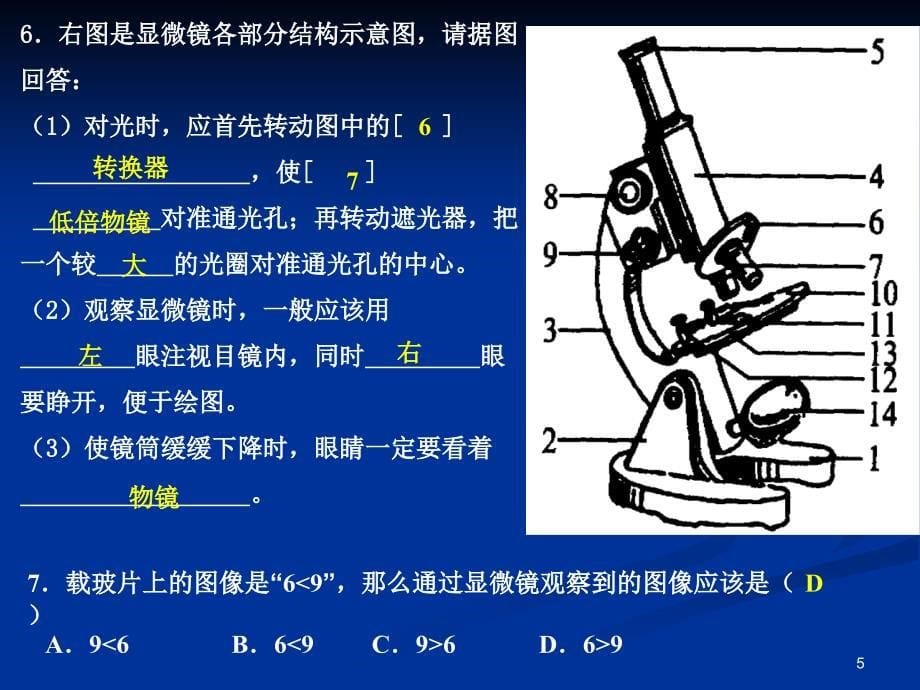 生物生物体的结构层次复习课件_第5页