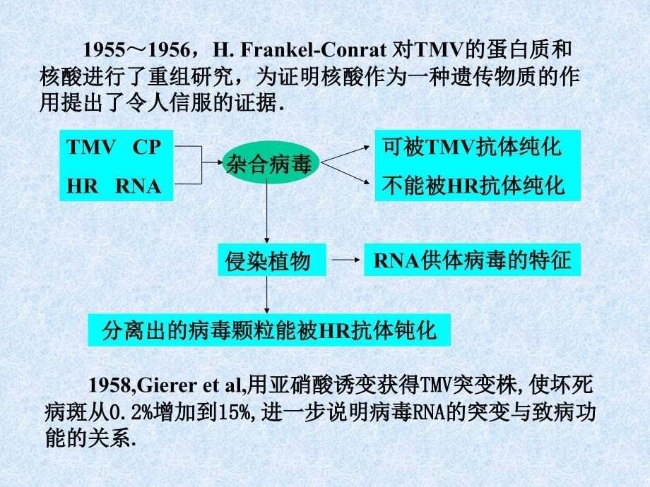 分子植物病理学ppt课件教学教程_第5页