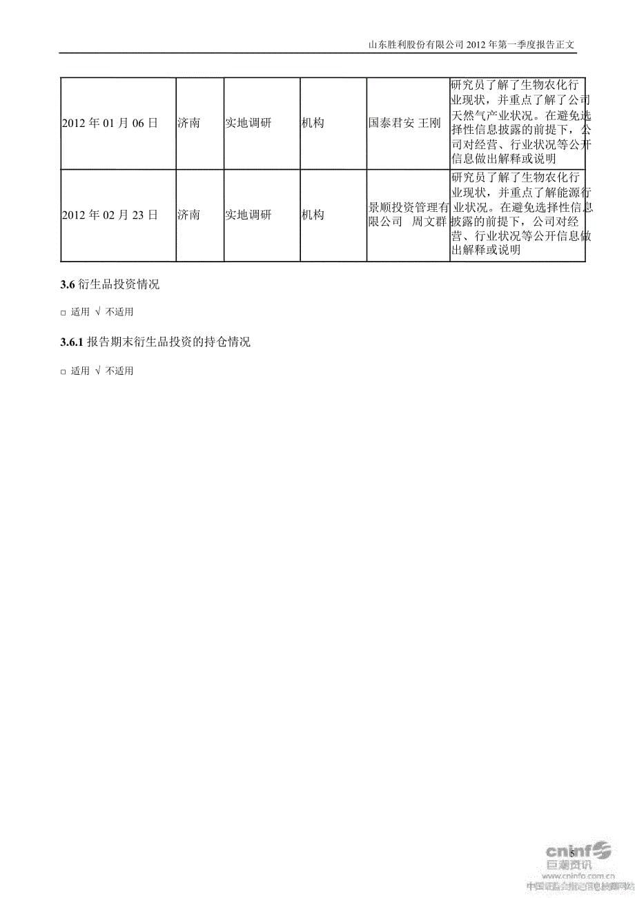 胜利股份：第一季度报告正文_第5页