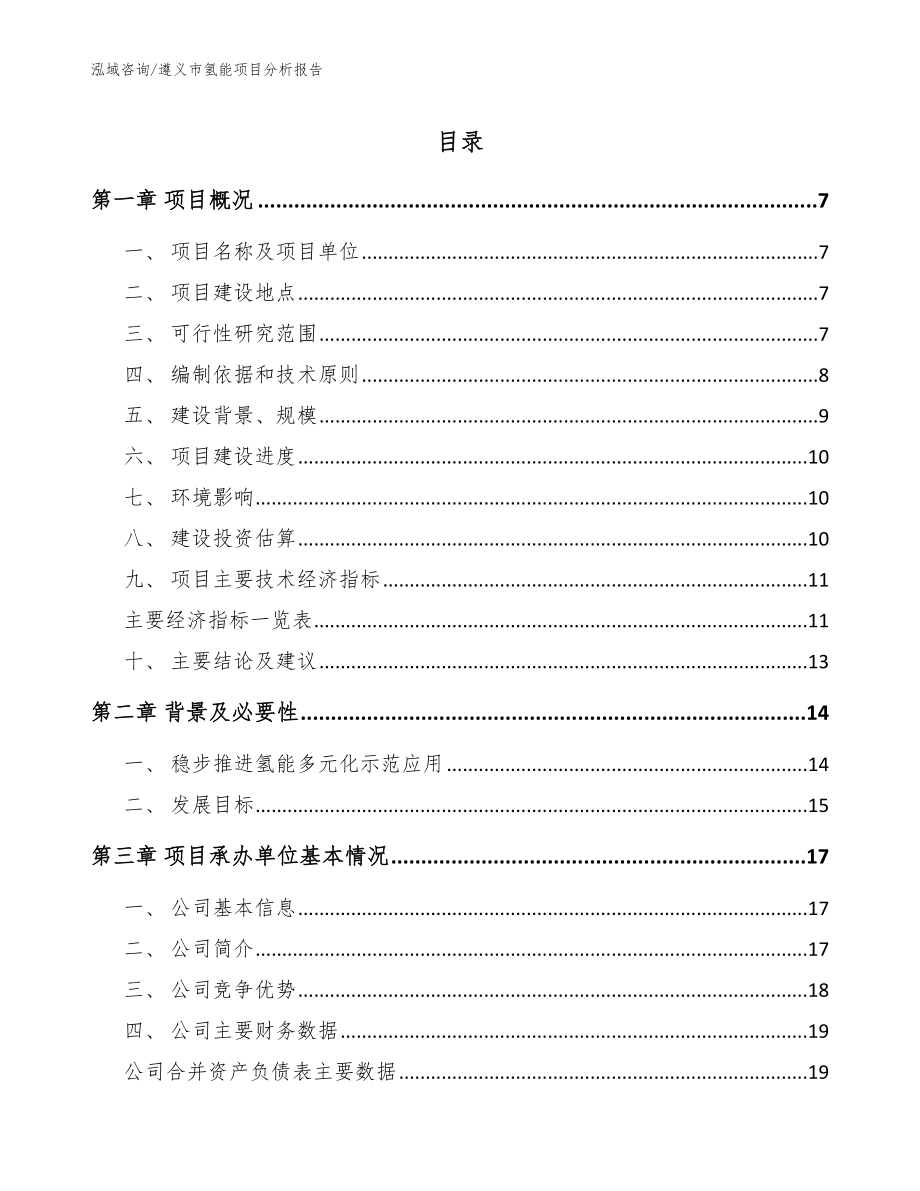 遵义市氢能项目分析报告模板范本_第1页