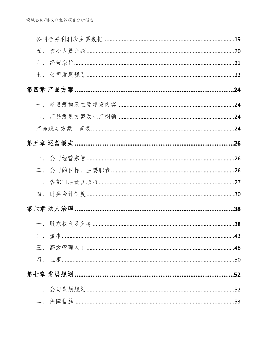 遵义市氢能项目分析报告模板范本_第2页