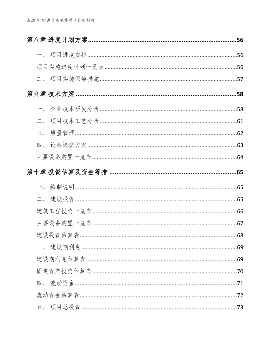 遵义市氢能项目分析报告模板范本_第3页