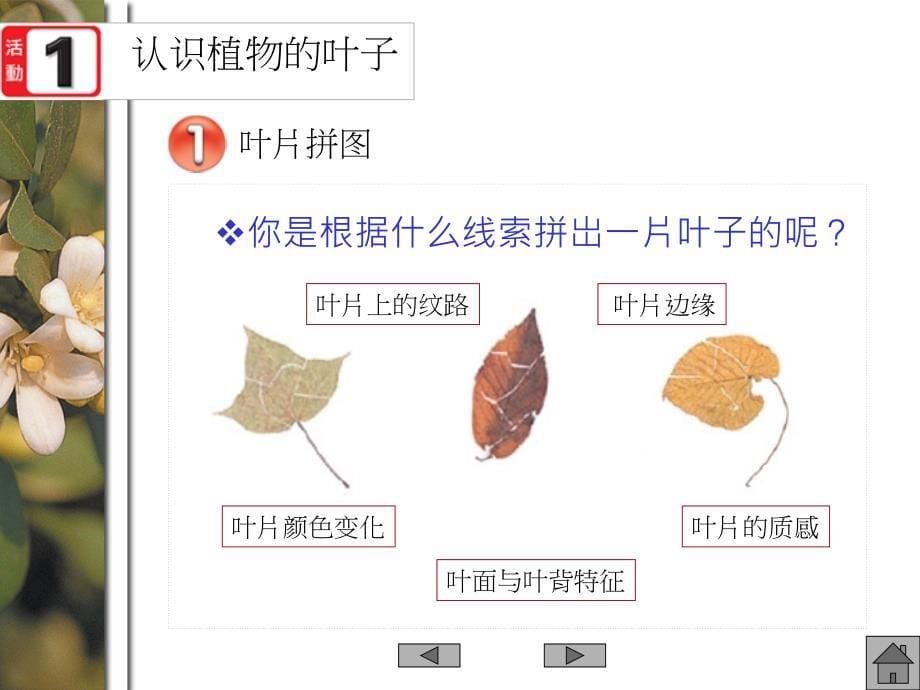 三四年级科学实验培训_第5页