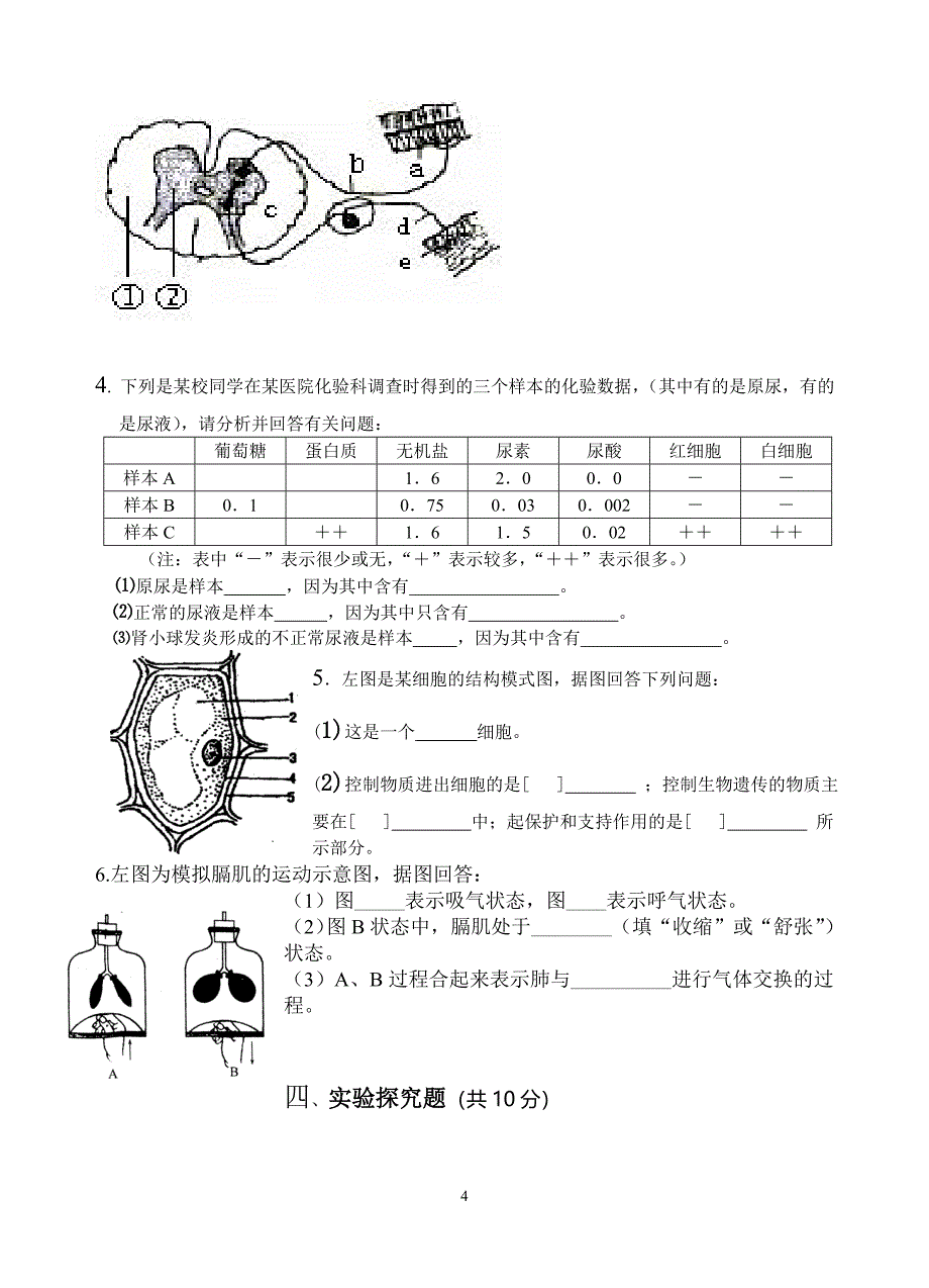 初二生物模拟卷_第4页