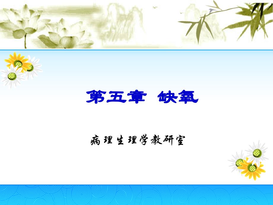 病理生理学缺氧_第1页