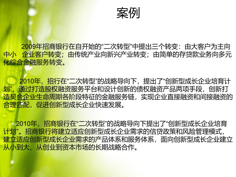 金融营销学案例分析.ppt_第3页