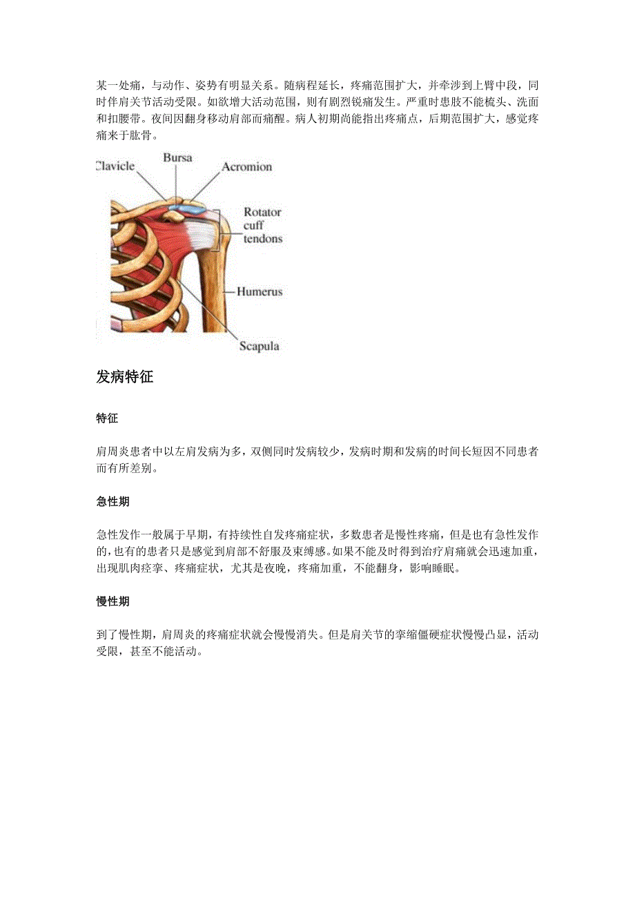 肩膀疼分类之：肩周炎引起的肩膀疼痛.doc_第2页