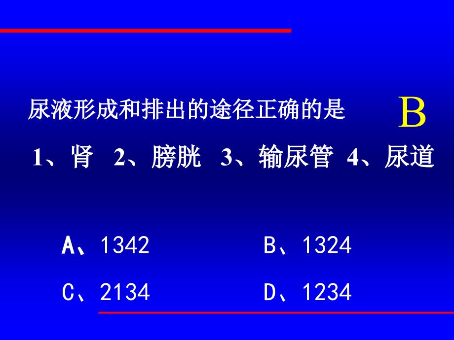 医学专题：尿液形成的过程_第2页