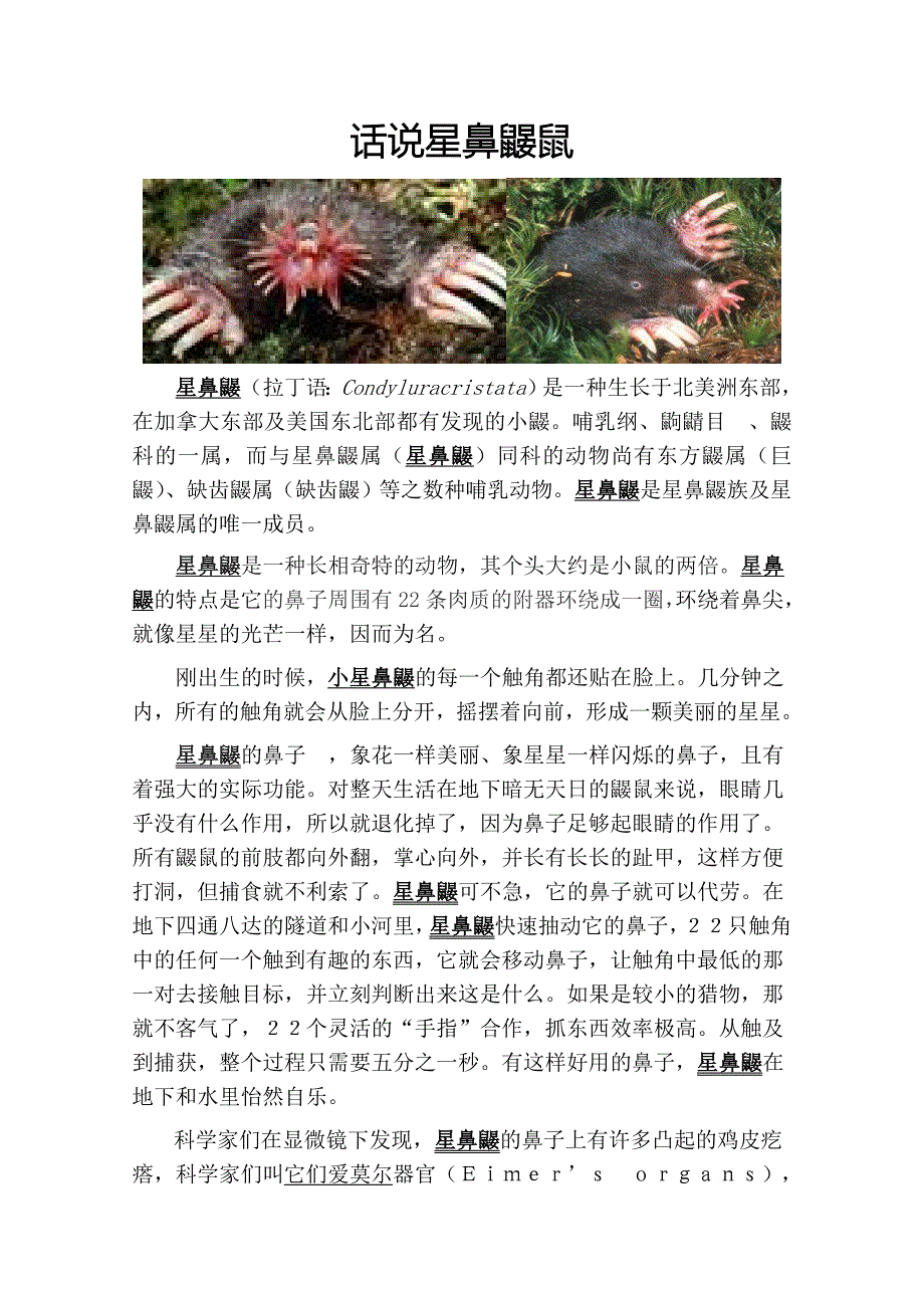 动物学：话说星鼻鼹鼠.doc_第1页