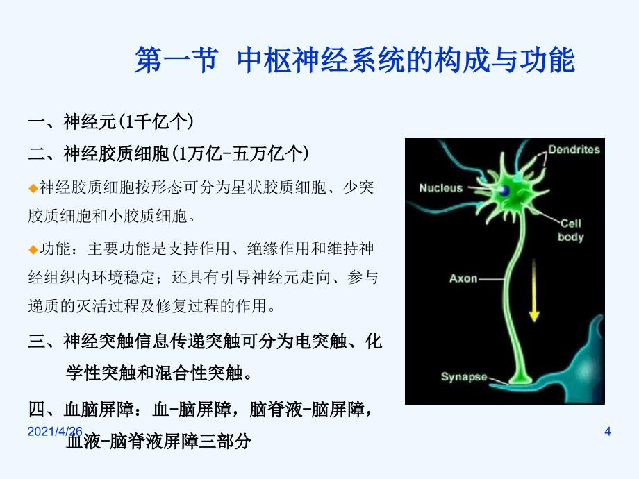 中枢神经系统概论_第4页