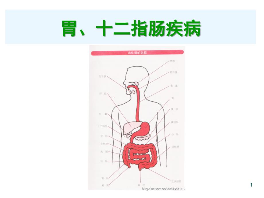 胃和十二指肠疾病PPT课件_第1页