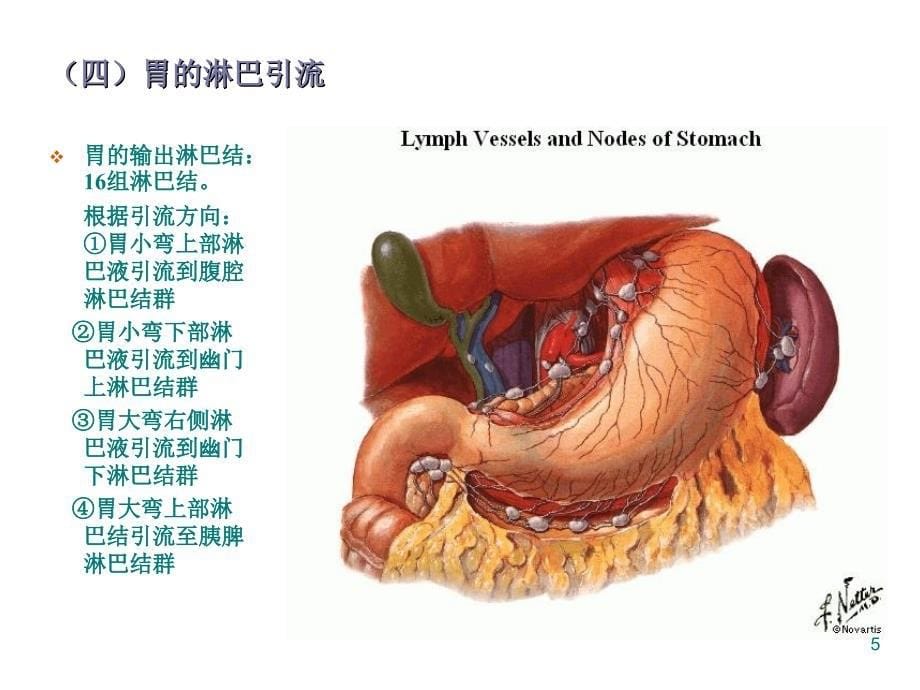 胃和十二指肠疾病PPT课件_第5页