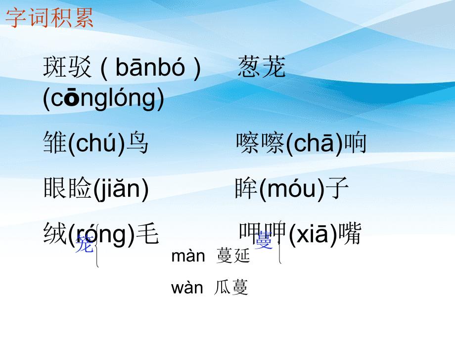 六年级语文下册珍珠鸟课件14鲁教版五四制课件_第2页