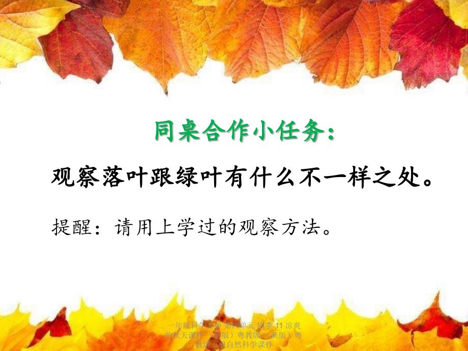 最新一年级科学上册第四单元四季11凉爽的天课件新版粤教版新版粤教级上册自然科学课件_第3页