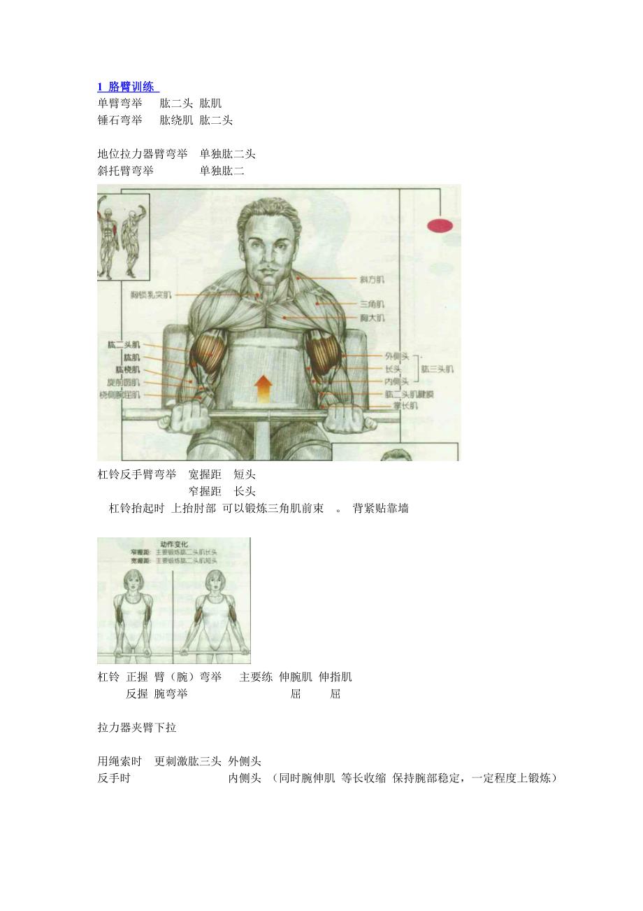 肌肉训练动作.doc_第1页