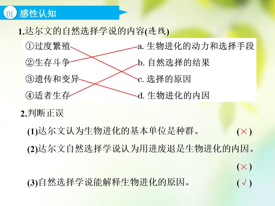 生物第2部分 遗传与进化 第三单元 生物的变异、育种与进化 第3讲 生物进化_第4页