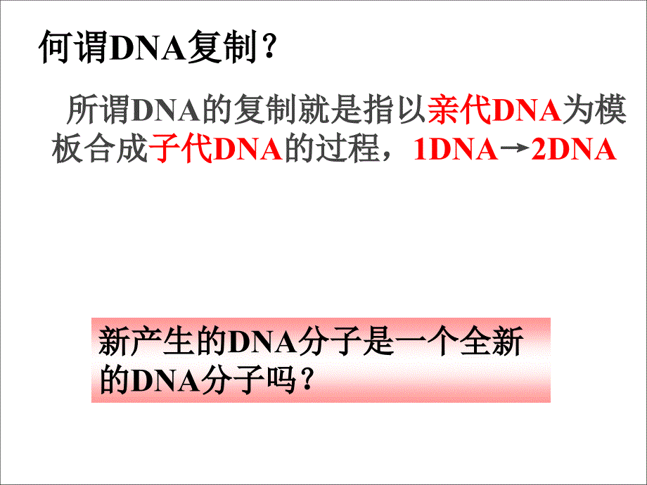 DNA的复制_第2页