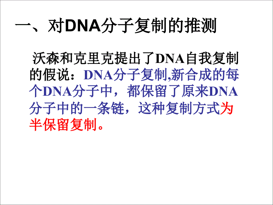 DNA的复制_第3页