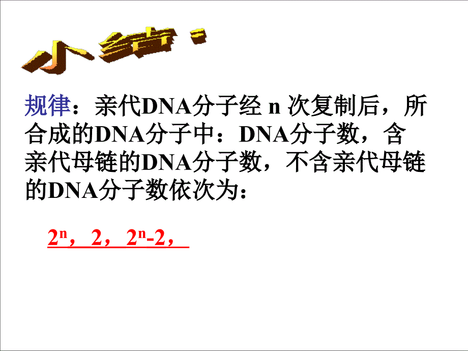 DNA的复制_第5页