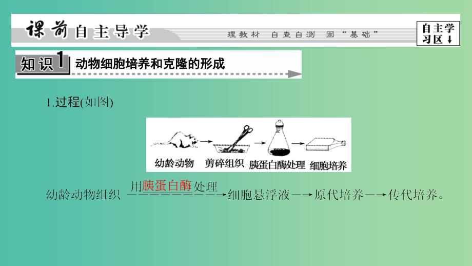 高中生物第二章克隆技术第3节动物的克挛件浙科版.ppt_第3页