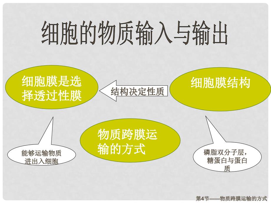 高一生物：4.3《物质跨膜运输的方式》课件（5）（新人教版必修1）_第2页