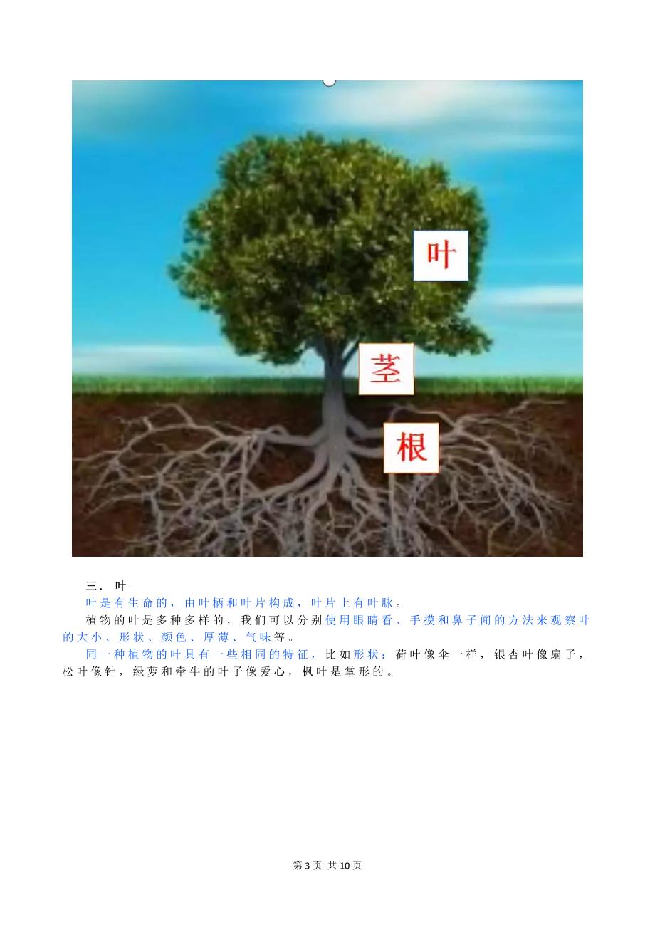 新教科版一年级科学上册知识点复习资料汇总_第3页