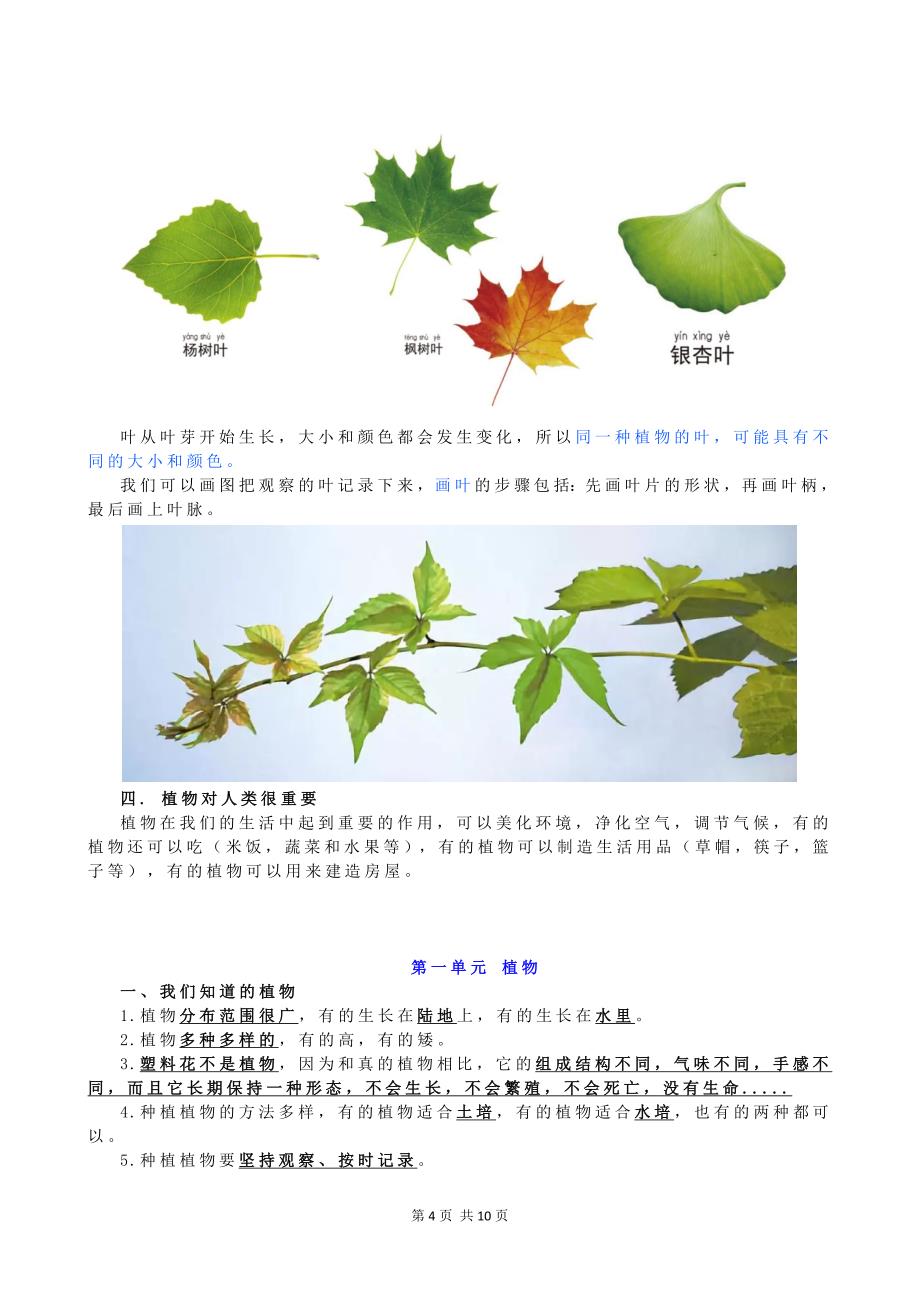 新教科版一年级科学上册知识点复习资料汇总_第4页