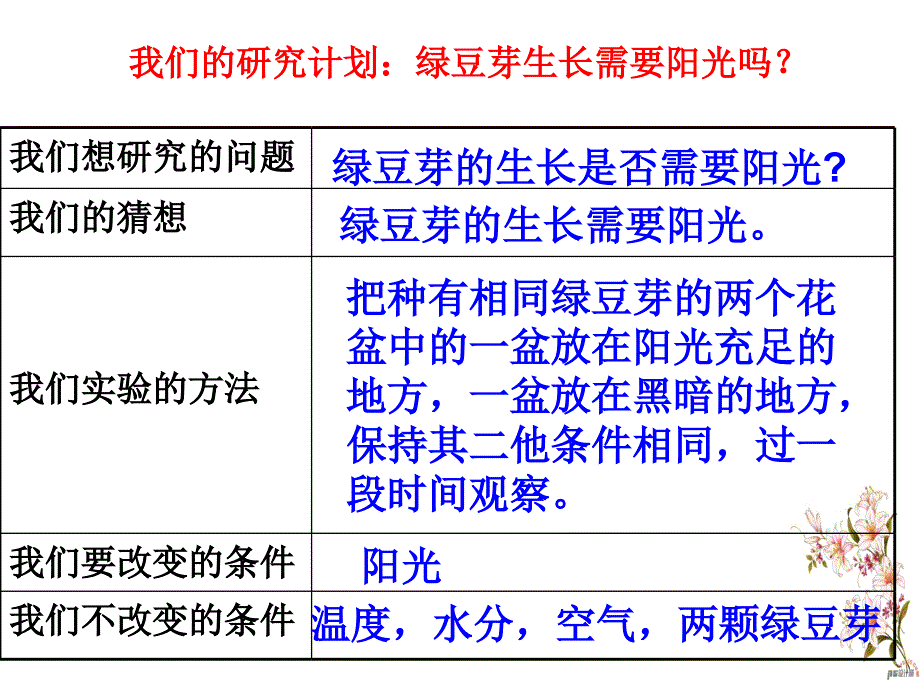 五年级上册科学课件－1.3观察绿豆芽的生长 ｜教科版 (共8张PPT)_第2页