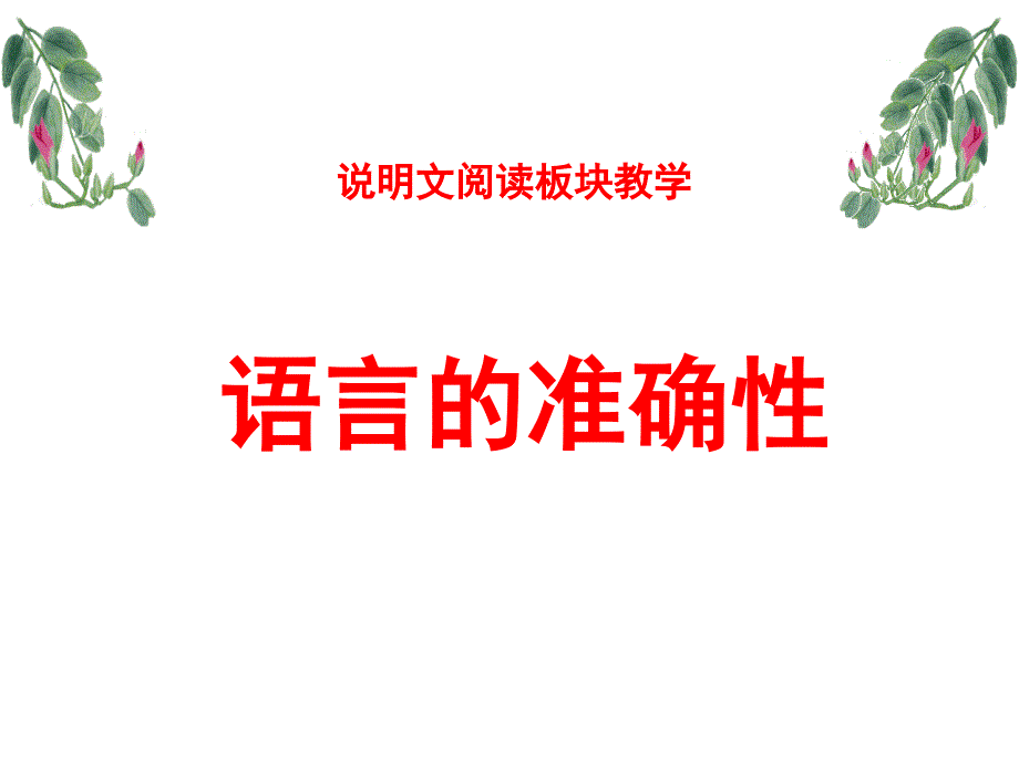 中考语文说明文语言的准确性_第1页