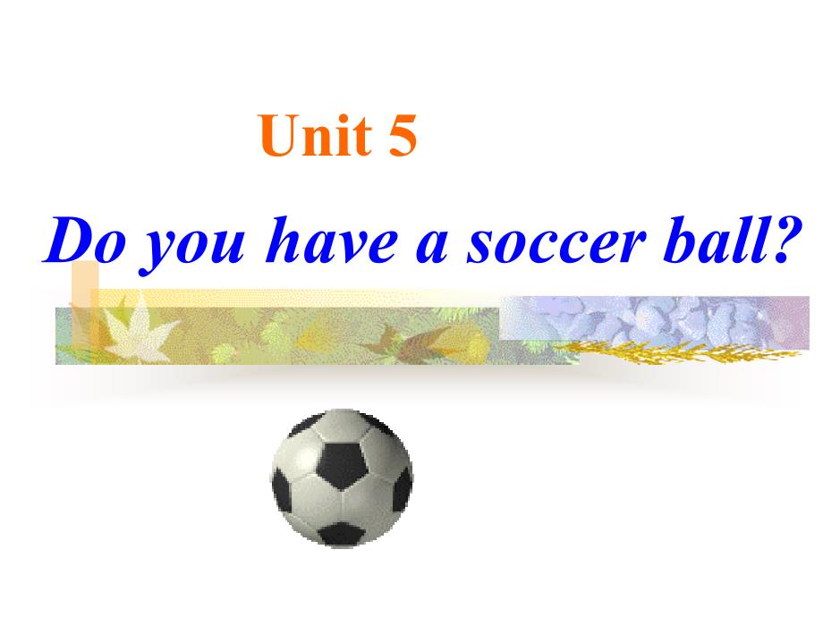 课件：unit5-Do-you-have-a-soccer-ball？_第2页