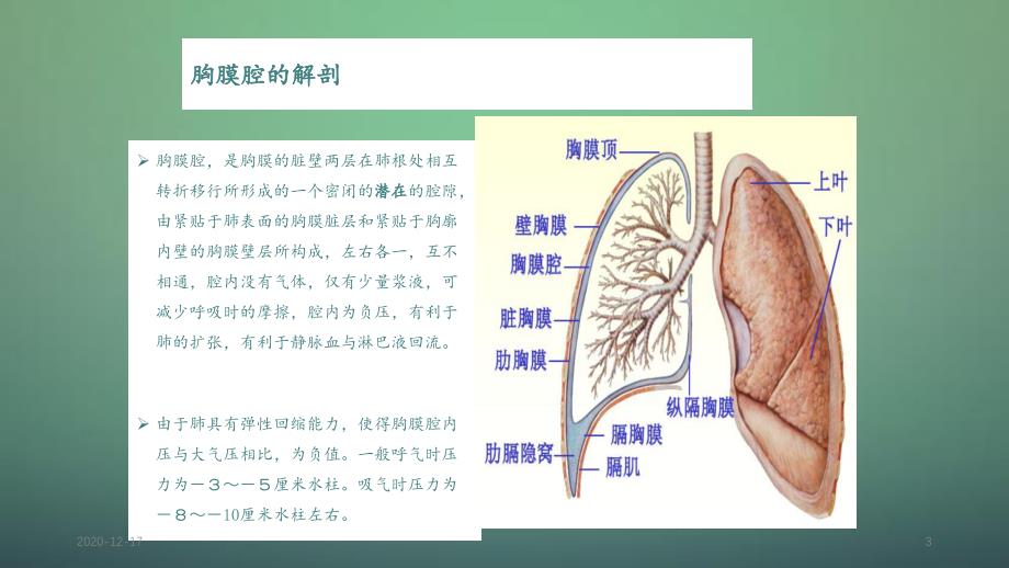 胸腔穿刺术实用讲解_第3页