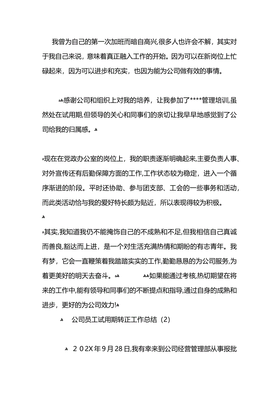 公司员工试用期转正工作总结_第2页