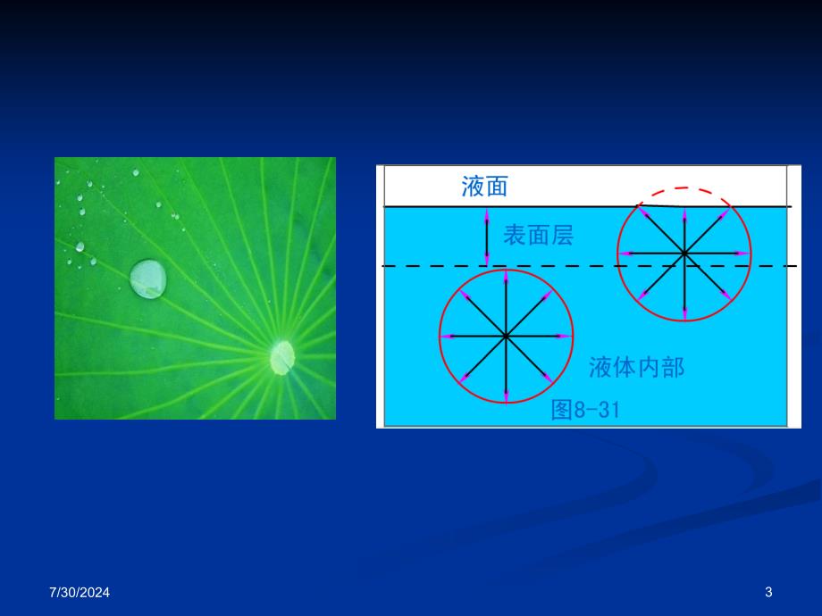 04面活性剂与药用高分子_第3页