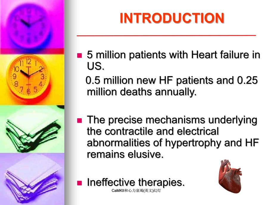 CaMKII和心力衰竭英文幻灯课件_第2页