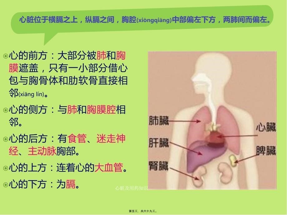 心脏及用药知识课件_第5页