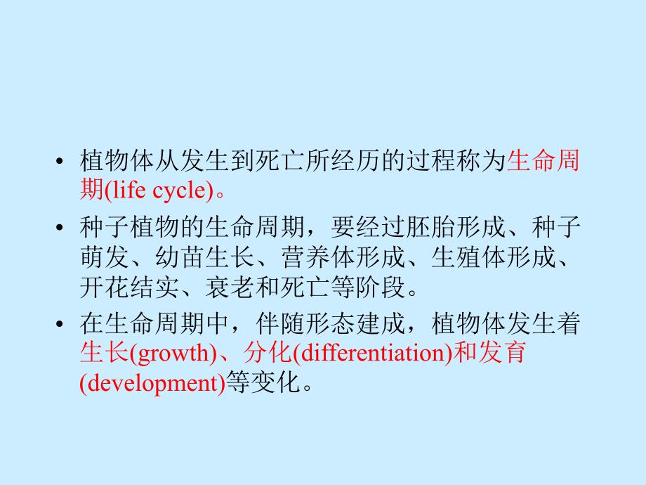 种子发育成熟.ppt_第2页