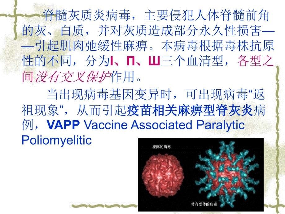 维持无脊灰急性弛缓性麻痹病例监测p关pt课件_第5页