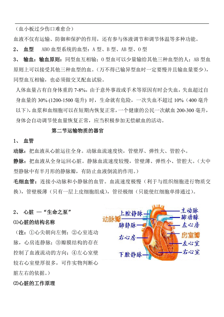 生物七下总复习提纲_第4页