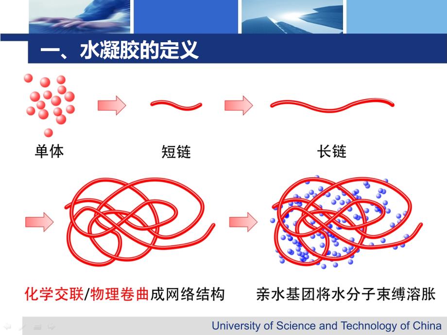 水凝胶的合成及应用.ppt_第4页