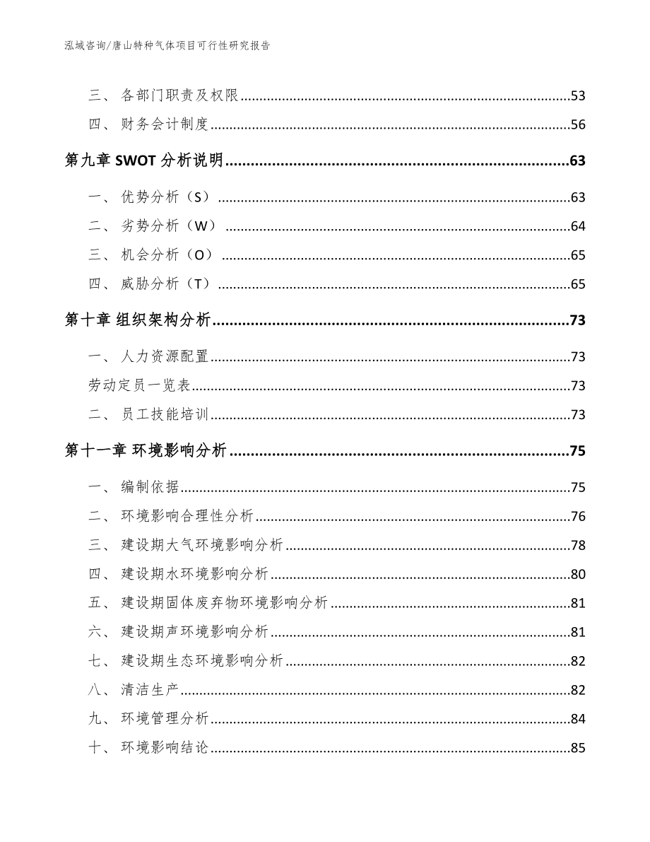 唐山特种气体项目可行性研究报告_第4页