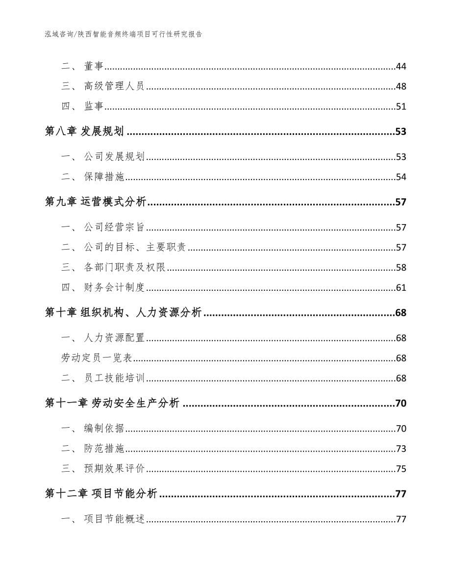 陕西智能音频终端项目可行性研究报告（模板）_第5页