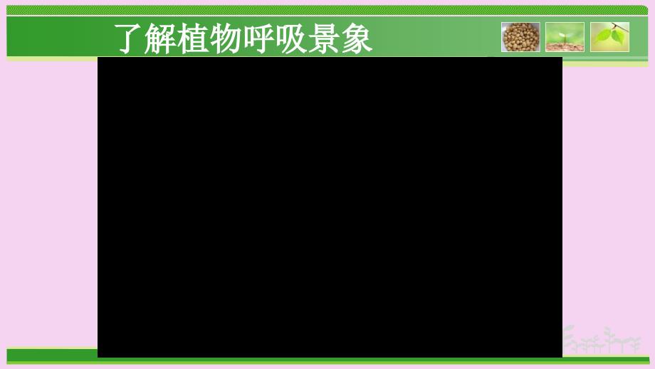 人教版七年级生物上册3.5.2绿色植物的呼吸作用公开课教学共25张ppt课件_第2页