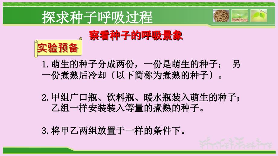 人教版七年级生物上册3.5.2绿色植物的呼吸作用公开课教学共25张ppt课件_第3页