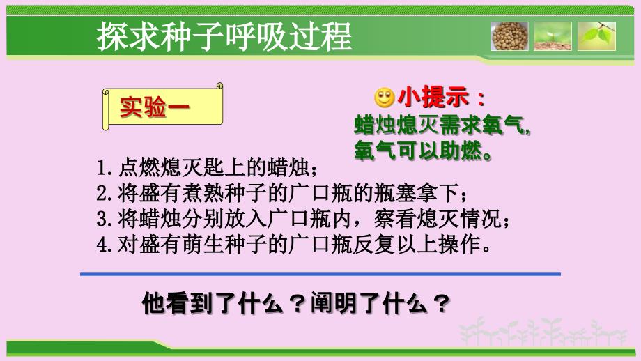 人教版七年级生物上册3.5.2绿色植物的呼吸作用公开课教学共25张ppt课件_第4页