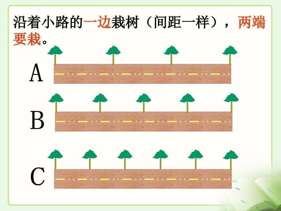 植树问题教学课件_第5页