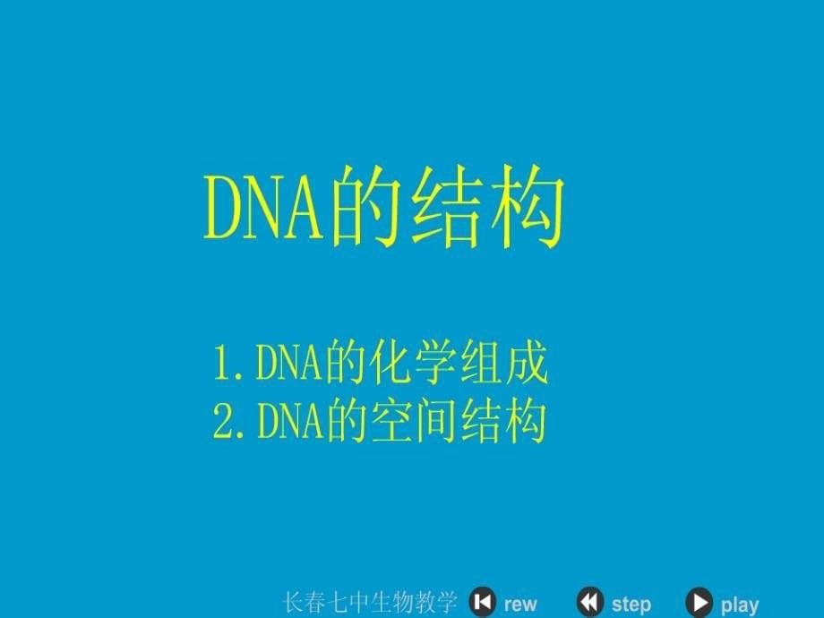 专题5课题2多聚酶链式反应扩增DNA片段上课课件_第5页