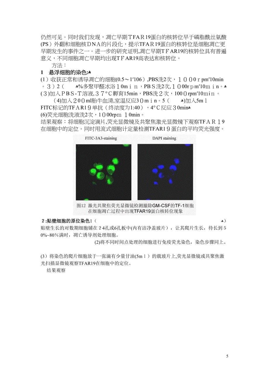 细胞凋亡检测方法_第5页