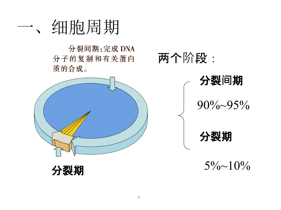 细胞的分裂PPT课件_第3页